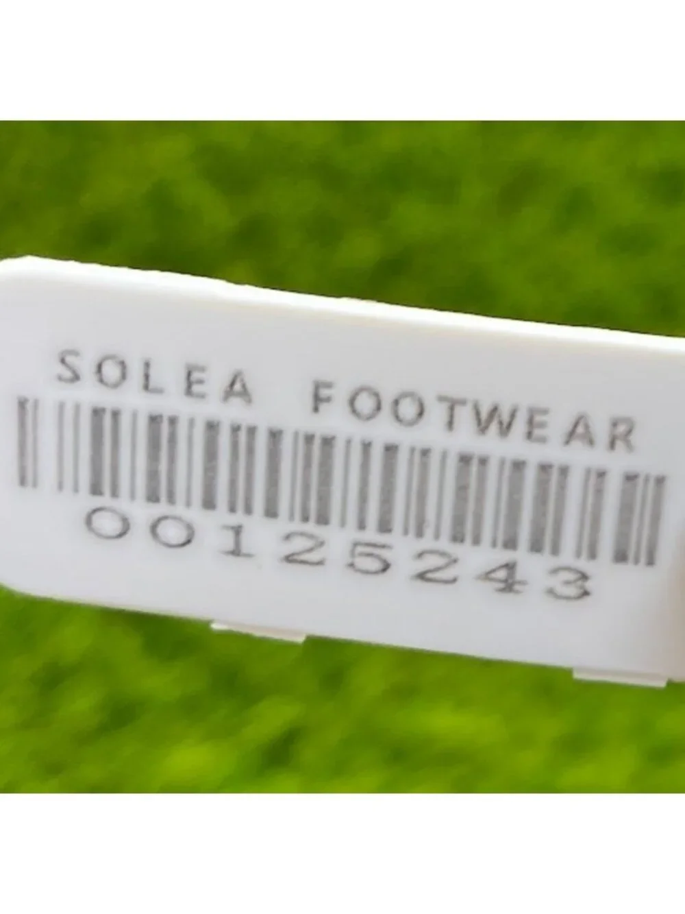 allbirds please review